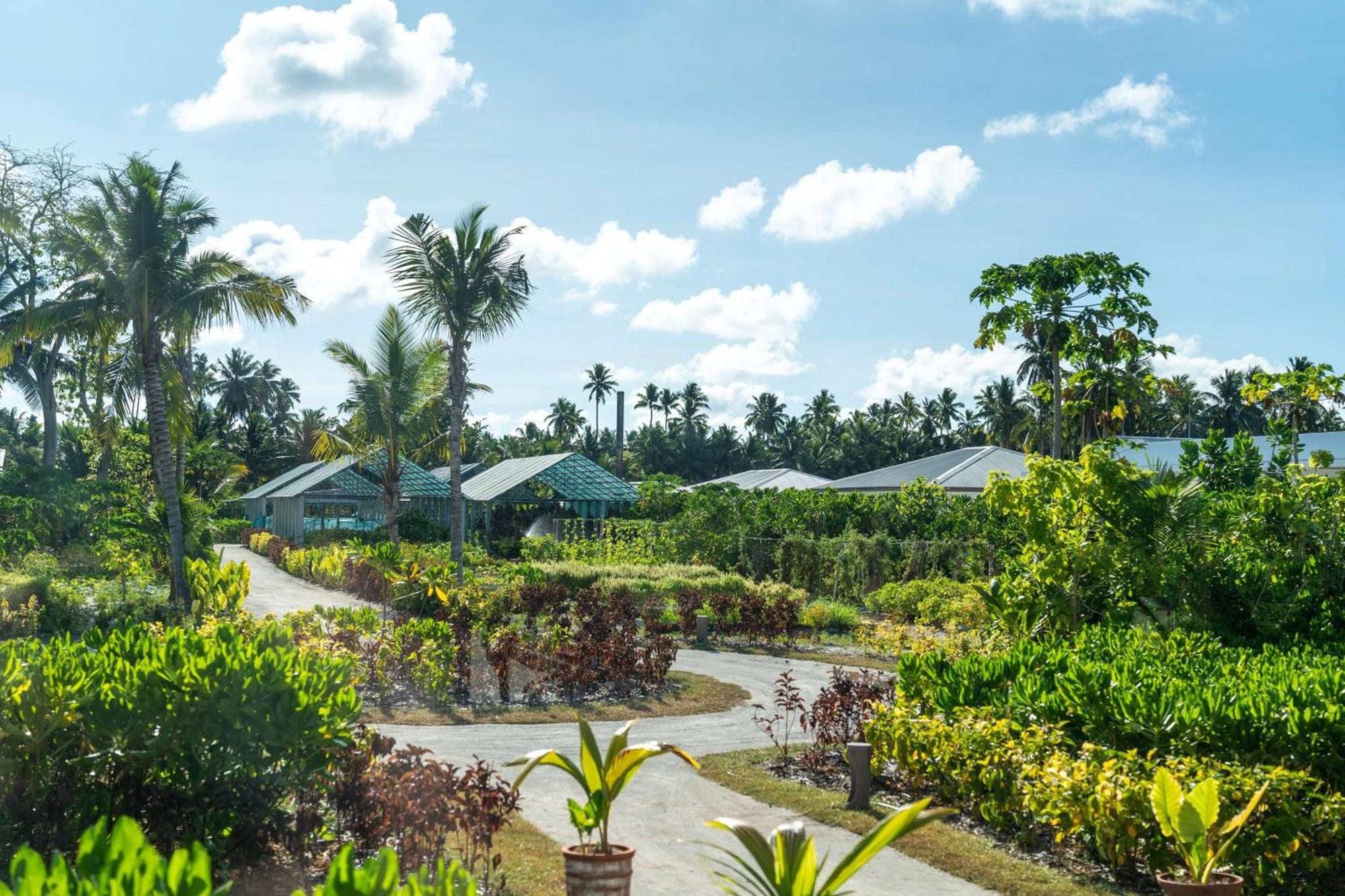 ホテル Waldorf Astoria Seychelles Platte Island エクステリア 写真